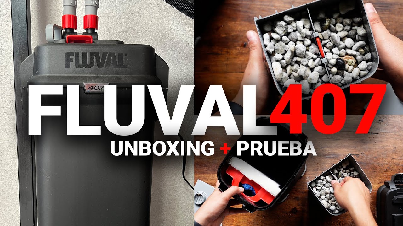 Uno de los MEJORES FILTROS para tu ACUARIO | Fluval 407