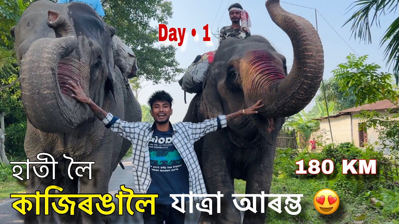 হাতী লৈ কাজিৰঙালৈ যাত্ৰা আৰম্ভ • Day 1 : Journey with Elephants to Kaziranga 2023