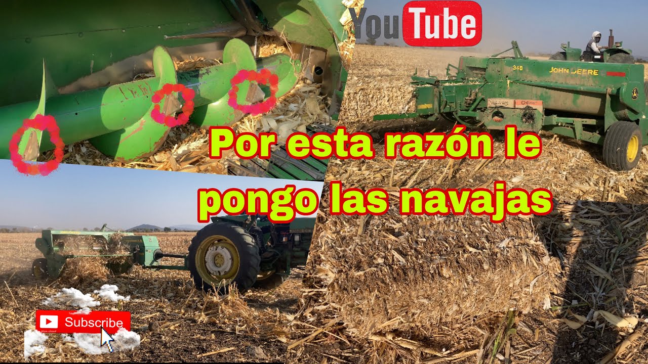 “SEGUIMOS EMPACANDO PACAS DE ZACATE Y EXPLICAMOS ESTOS DETALLES DE LA EMPACADORA.🌾🚜🌾