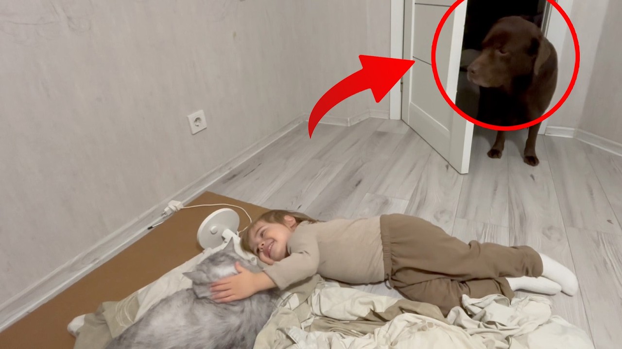 Когда ревность достигает идеального момента 😅