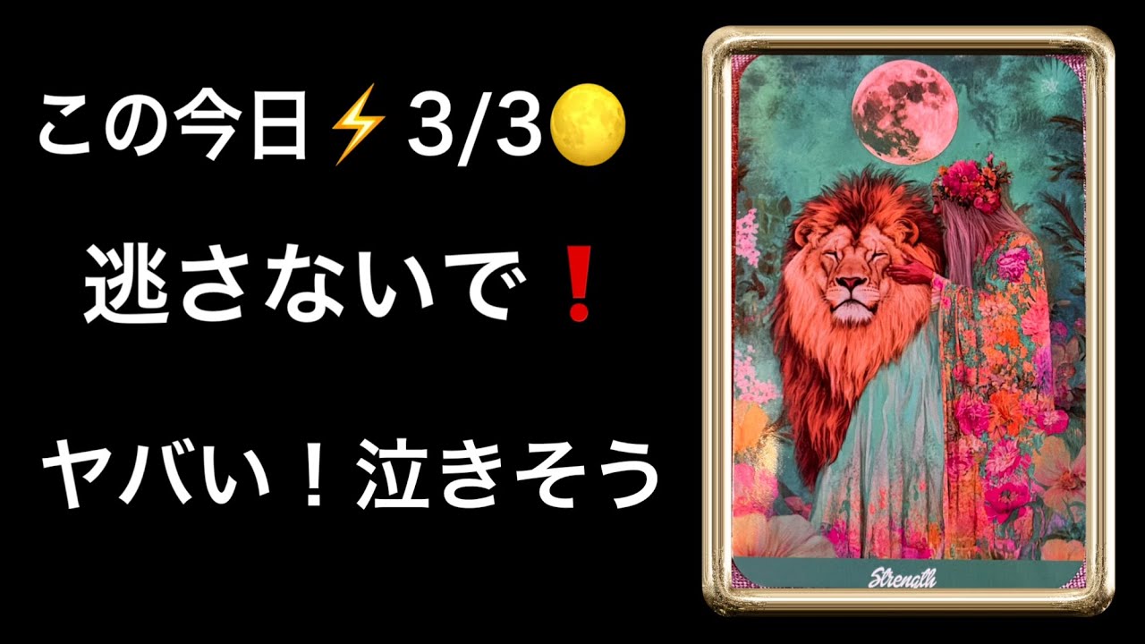 【重要日🌕3/3中に見てほしい⚡️】この今日あなたに急いで伝えたい🏇緊急メッセージ💌半年に一度の大切なタイミング❗️ぜひ受け取ってください✨⭐️ガッツリ読み解きます