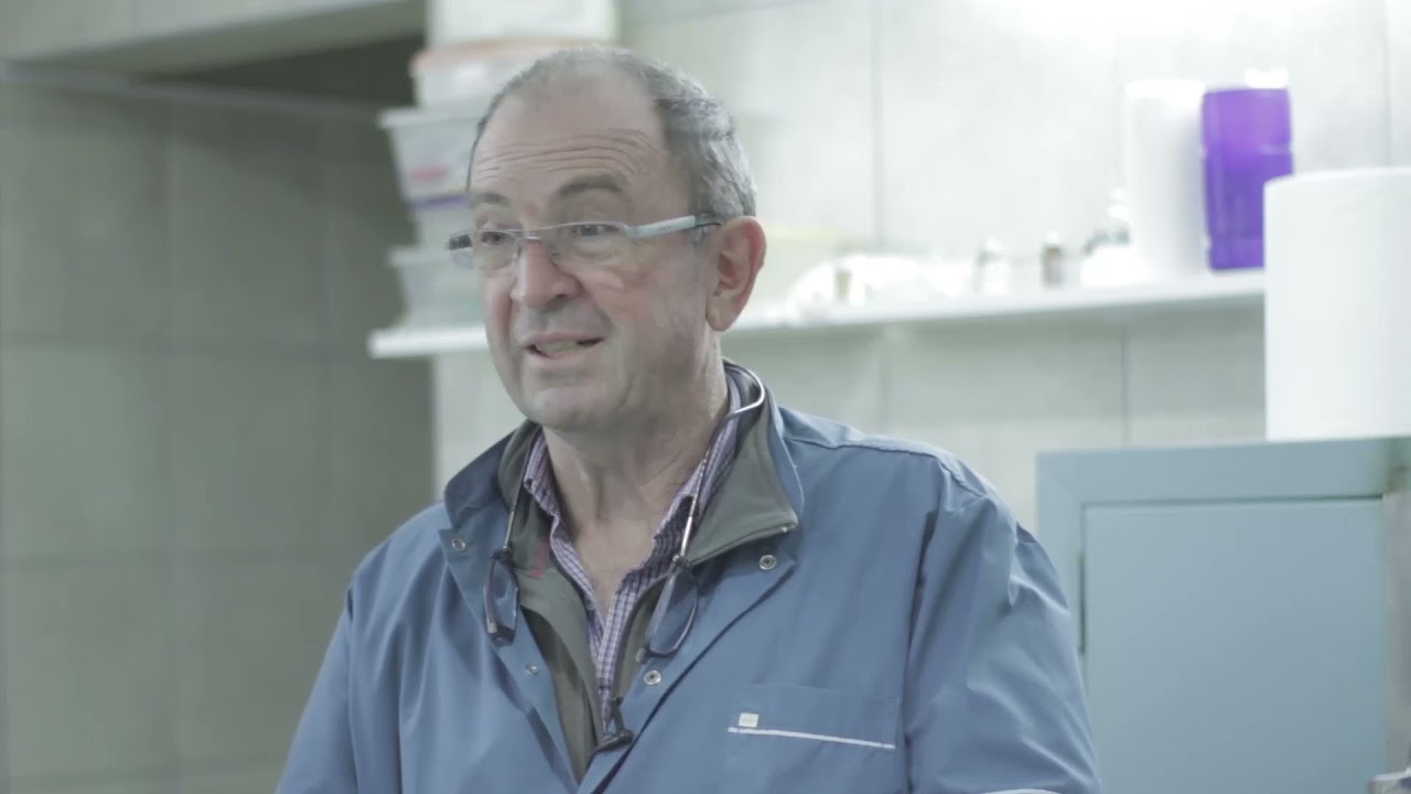 Dr Sergio de la Torre - Veterinario -  Gusano de seda