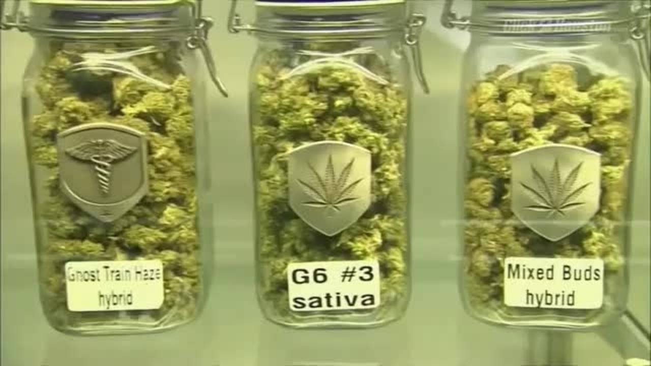 Cannabis research and treatment
