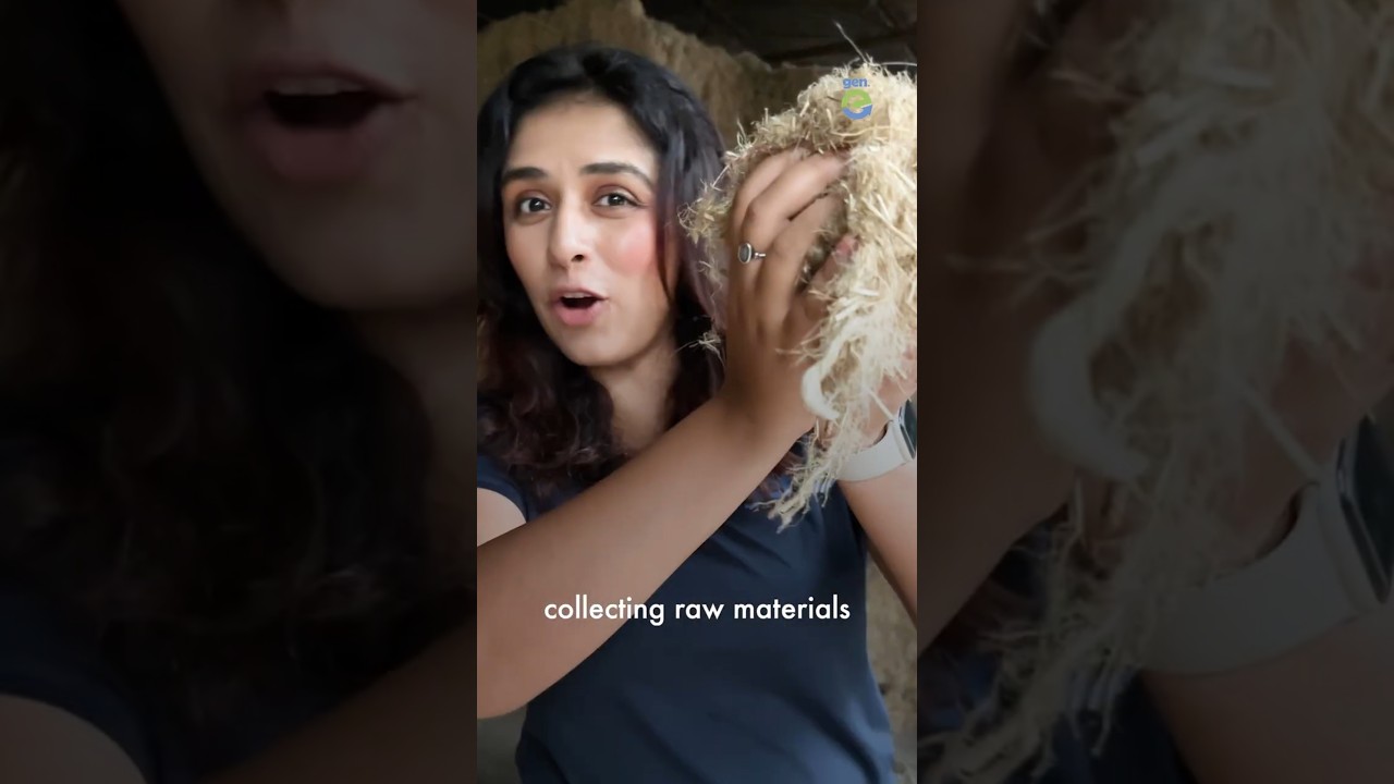 Indian startup making jeans from banana and sarees from pineapple waste - Canvaloop