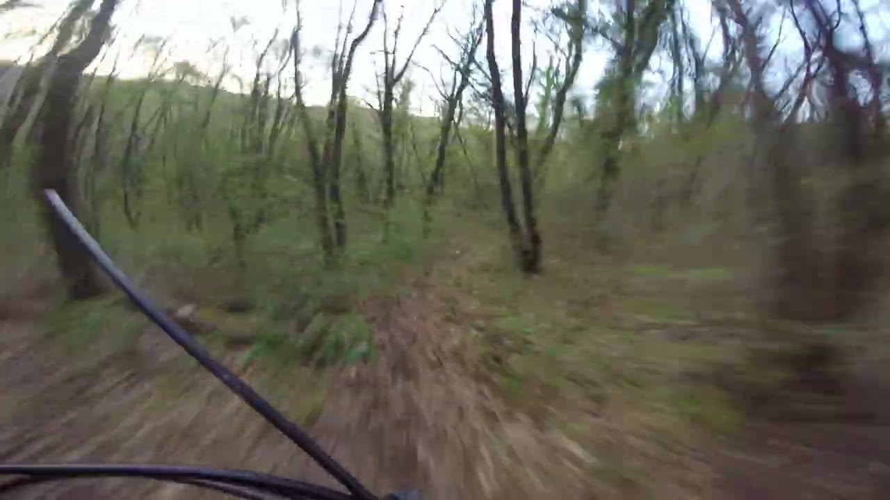 Fvg  Carso. trail  salamandra...e bike