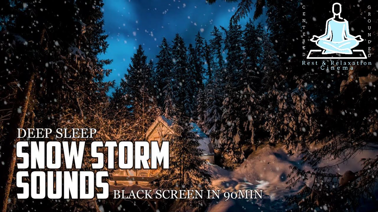 Snow Storm Noise w/No Music, Nature Ambience | Steady Blizzard Noises for Sleeping | 10 Hr