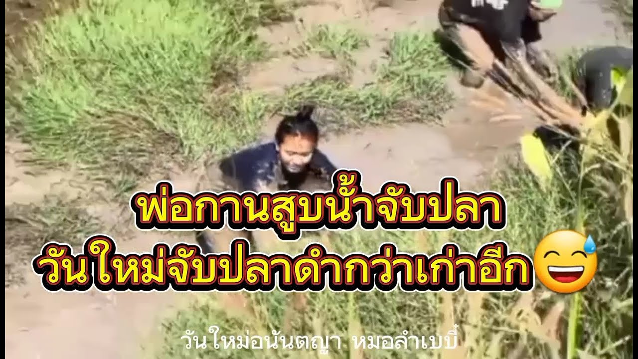 พ่อกานต์สูบนํ้าจับปลาเลี้ยงวันใหม่เลี้ยงแขกวันใหม่ลงนํ้าจับปลา🙏กดติดตามด้วยนะครับ#วันใหม่อนันตญา
