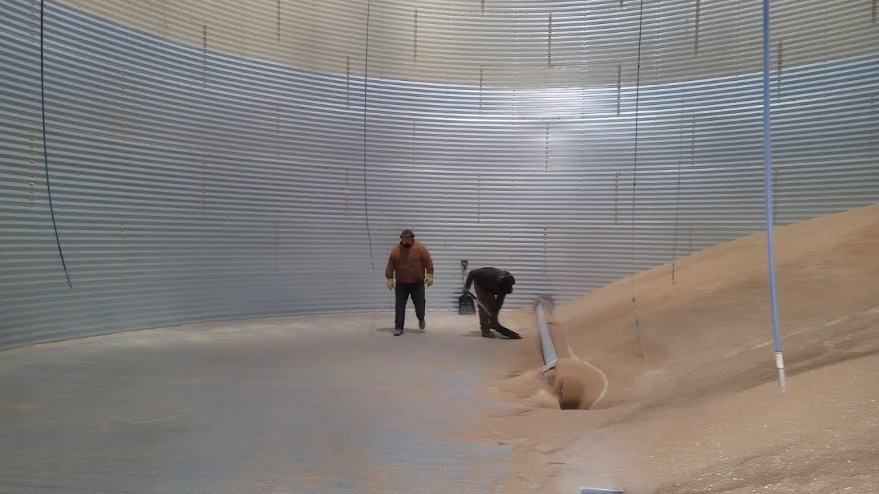 Cleaning bins & cleaning seed