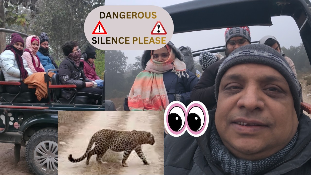 Finally we saw the Leopard 🐆 🫨