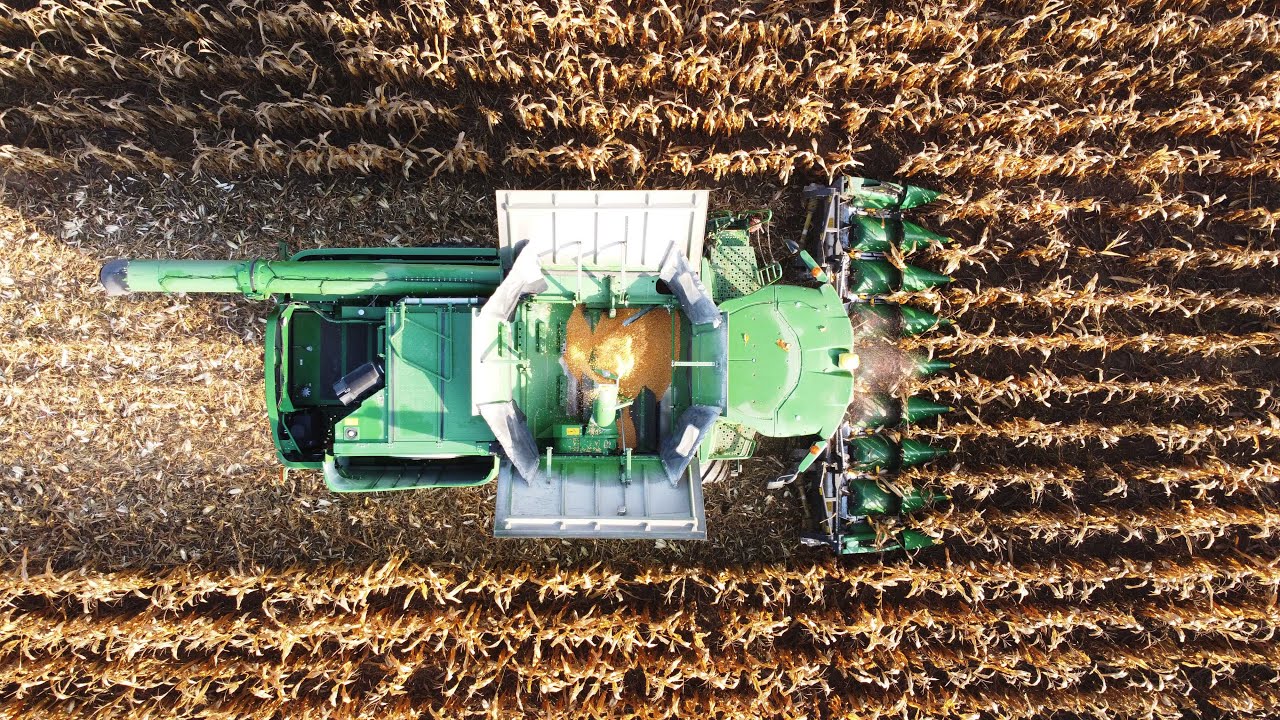 Gabona Farm Kft. Kukorica aratás 2021 🌽| John Deere S770i | John Deere 6330 +7720 +Pronar pt612  😁