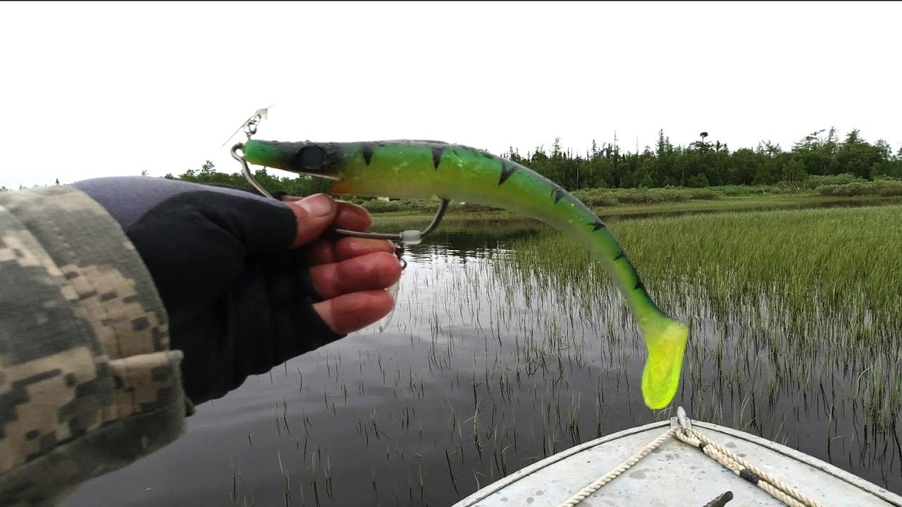 Ловля щуки на Pig Shad с офсетным крючком.