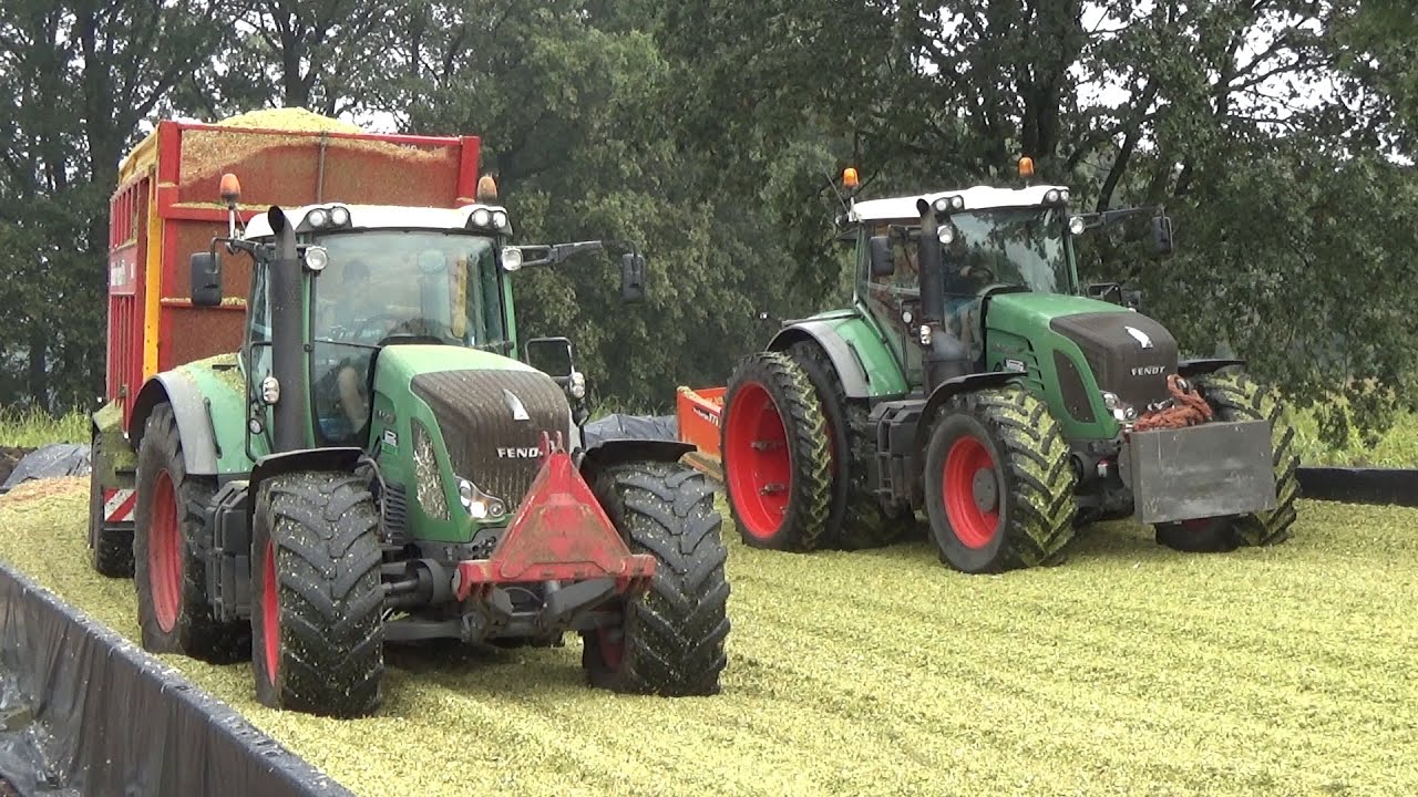Versteeg chopping corn