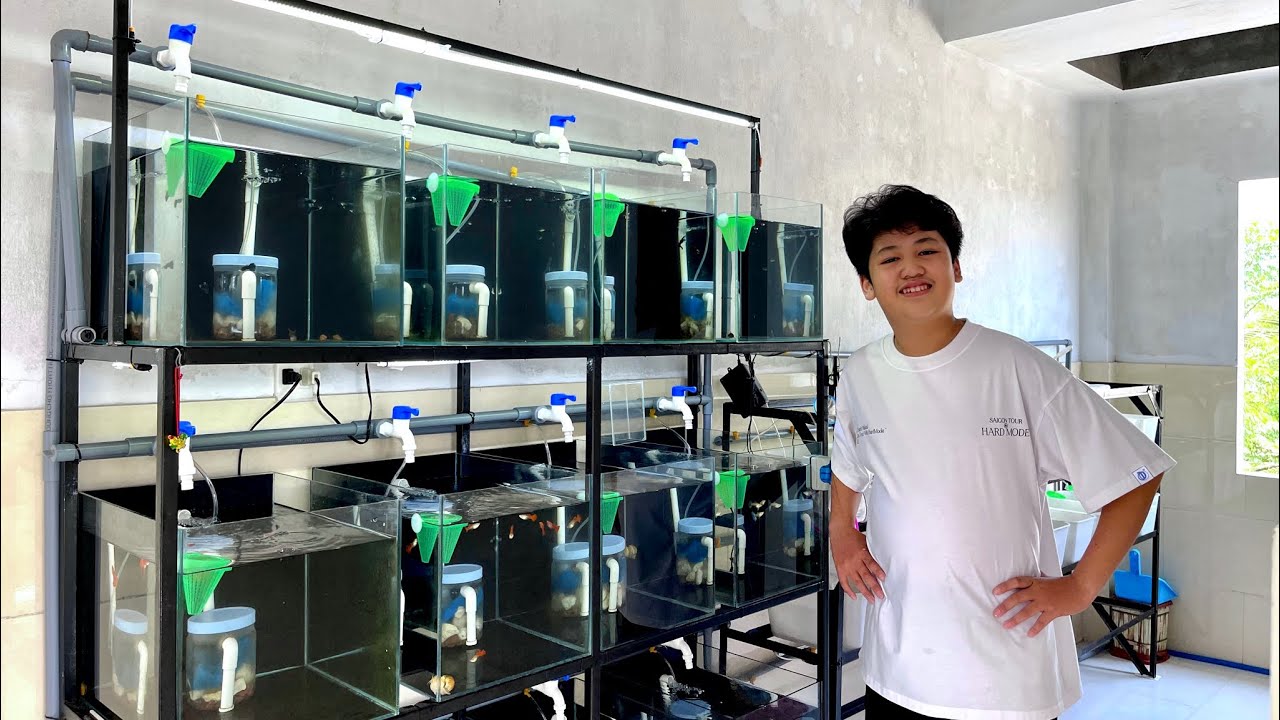 [ Guppy ] Tham Quan Góc Nhỏ Nuôi Cá Của Cậu Bé 14 Tuổi | Mỗi Tháng Bỏ Túi 2 Triệu | Dat Guppy