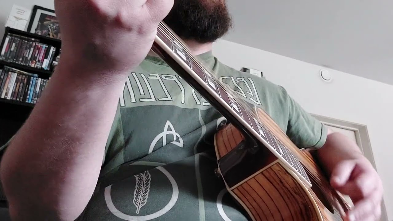 Foo Fighters-my hero acoustic cover