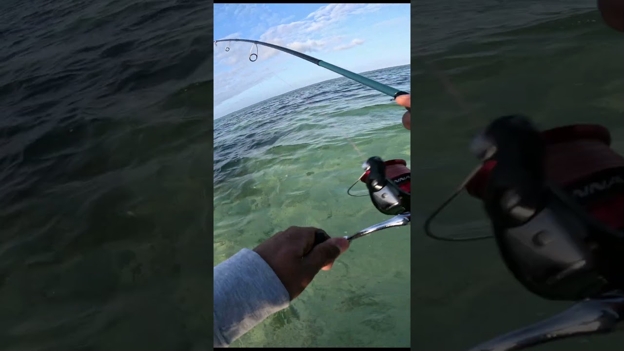 Missing a big barracuda in Mauritius #fishing #mauritius #mauritiusfishing  #gopro #shorefishing