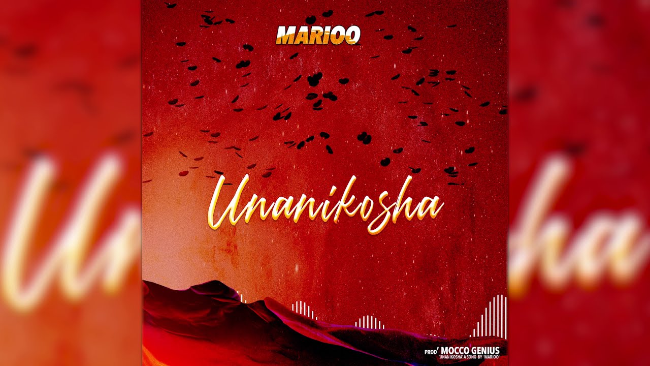 Marioo - Unanikosha (Official Audio)