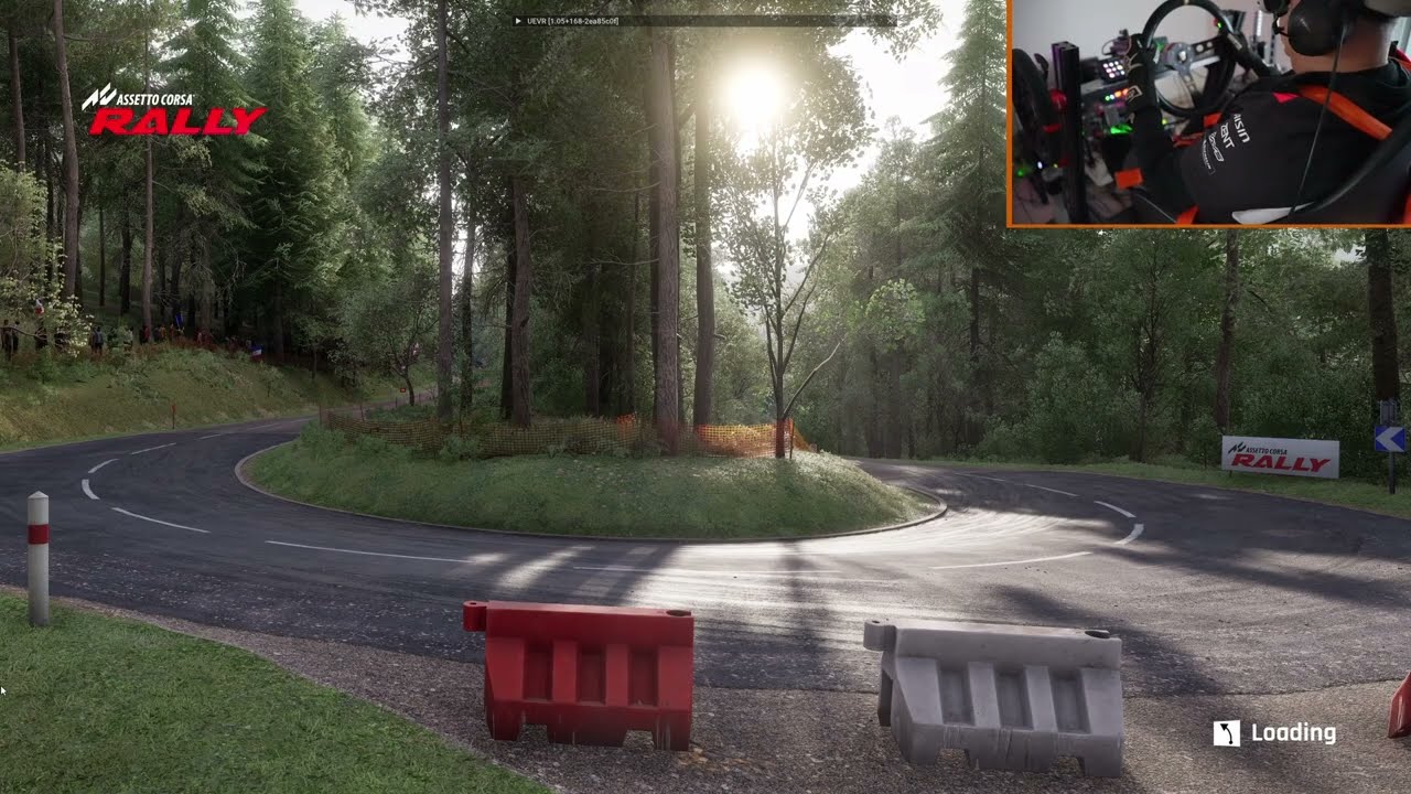 Assetto Corsa Rally - Peugeot 208 Rally4 on tarmac + i20 on gravel