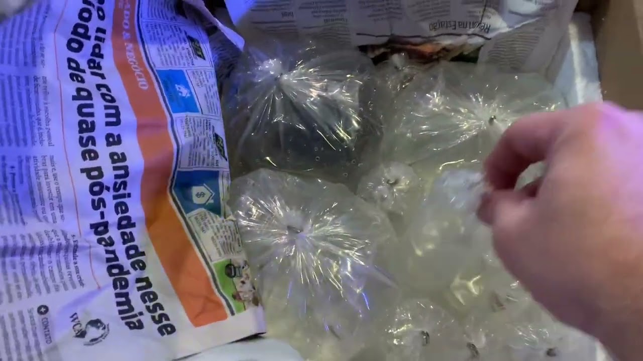 Unboxing Nationwide Aquatics/ L046,Sterbai Cory&rsquo;s, Pencilfish