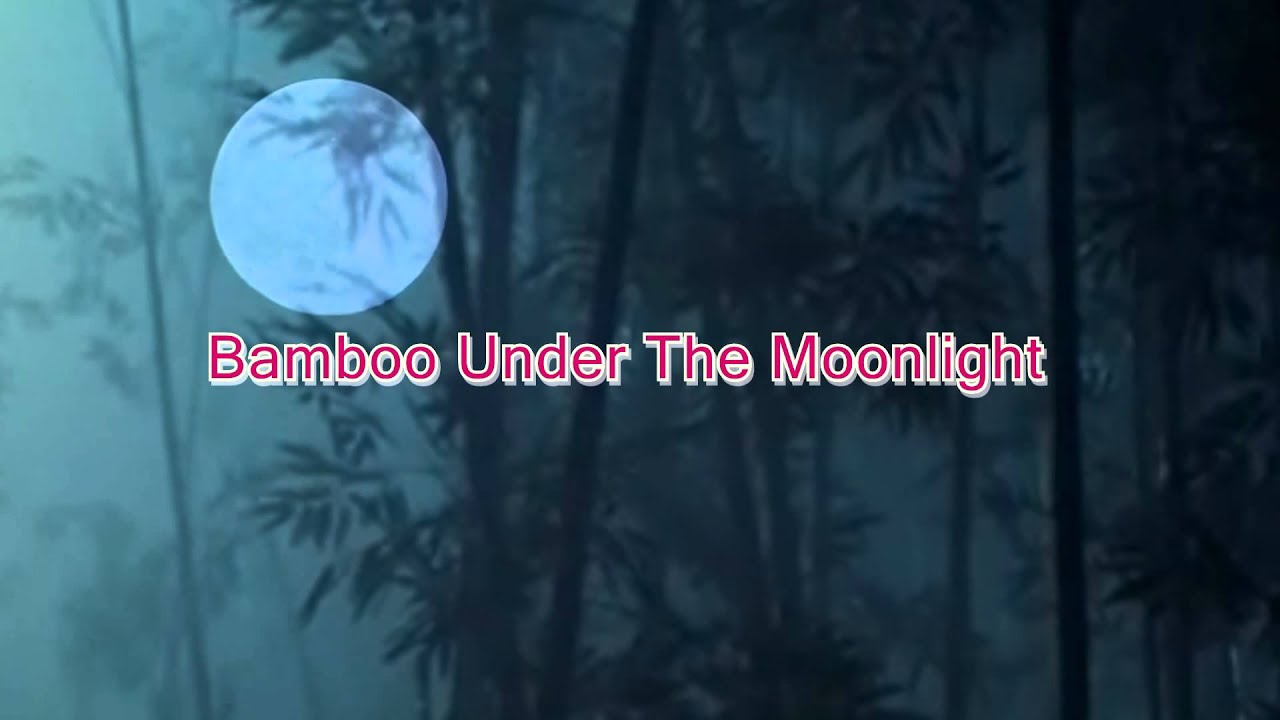 Bamboo Under The Moonlight - (Hulusi C) Cover by Tswb N. Thoj