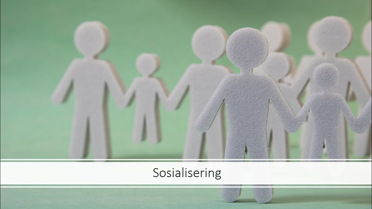 Sosialisering