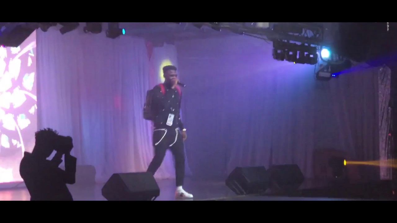 French Metallic's performance at King Promise concert Dallas Texas