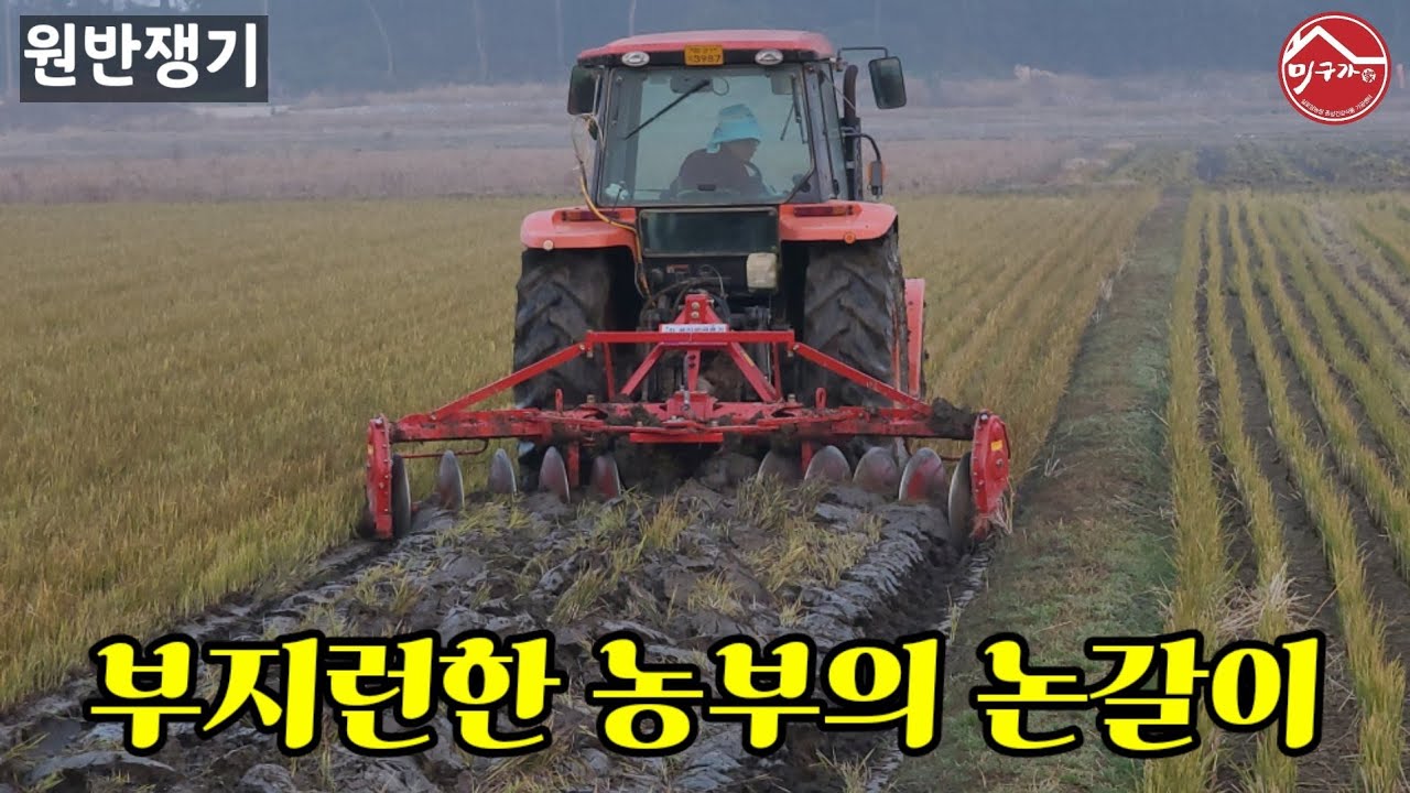 부지런한 농부의 원반쟁기로 논갈기