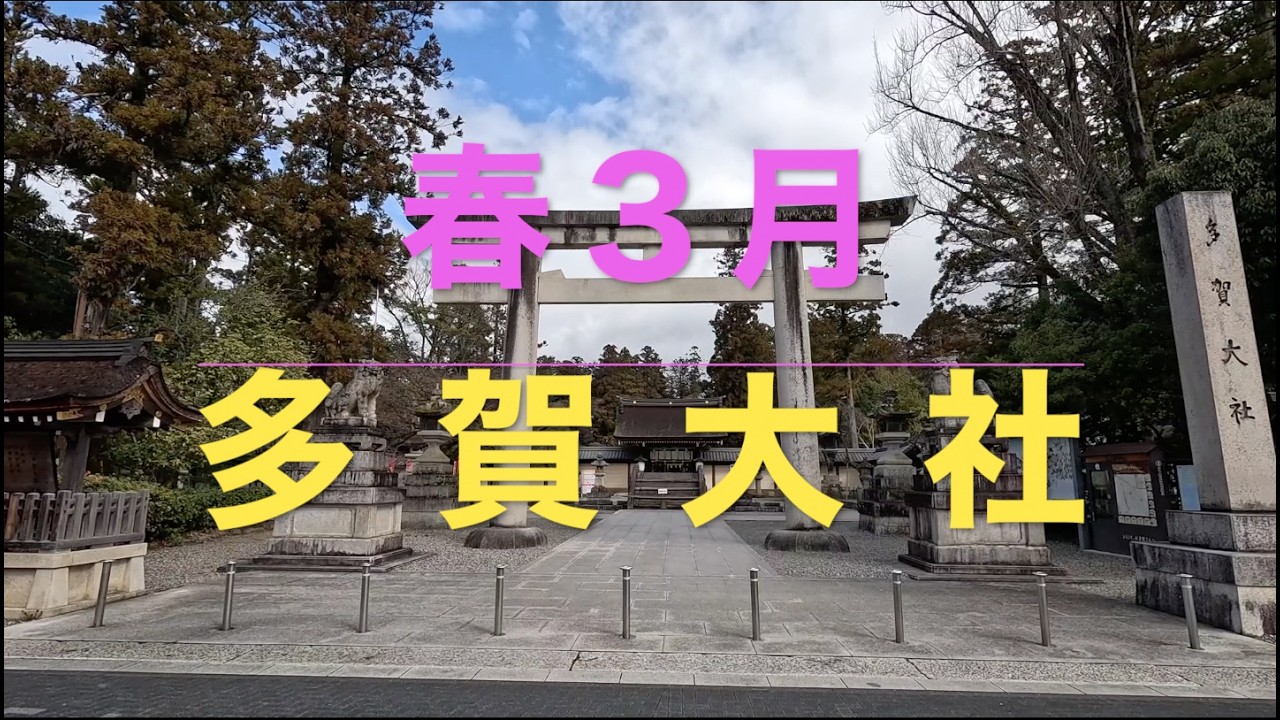 春３月、多賀大社の参拝をご一緒に‼️いたしましょう。