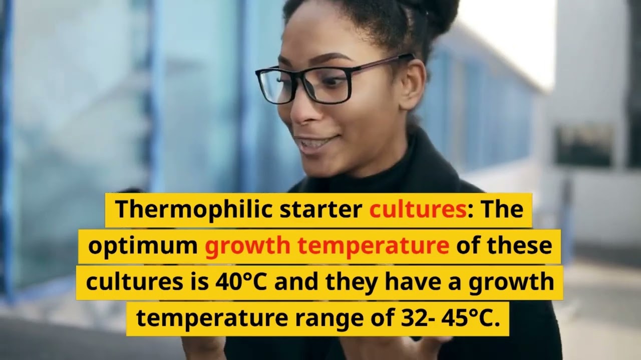 Starter culture and its types
