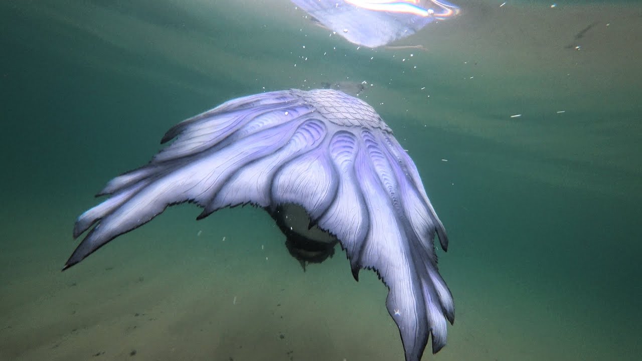 LAKE SUPERIOR MERMAID ⚓ Real Mermaid Performer swims in Lake Superior ⚓ Michigan Mermaid Videos 2021