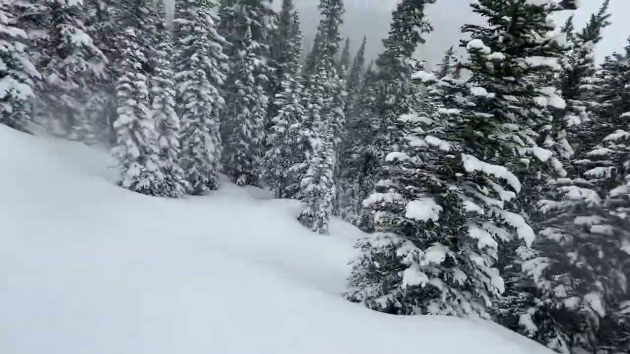 The perfect run at Berthoud Pass. Winter Park, Colorado