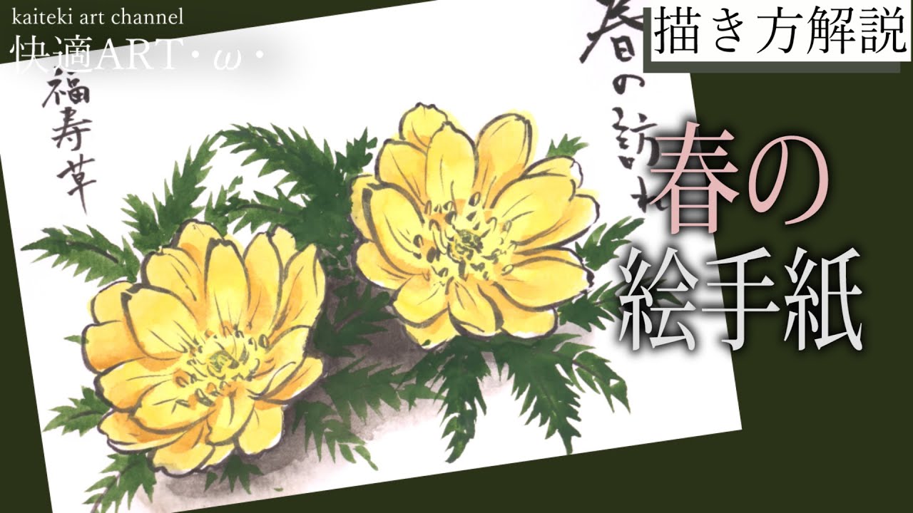 【解説】春の絵手紙『福寿草』２月、３月　花の描き方