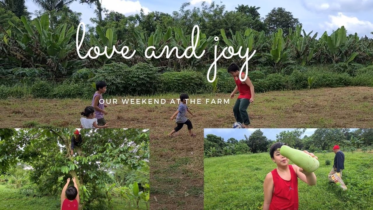 Spending our weekend in our farm Vlog-37