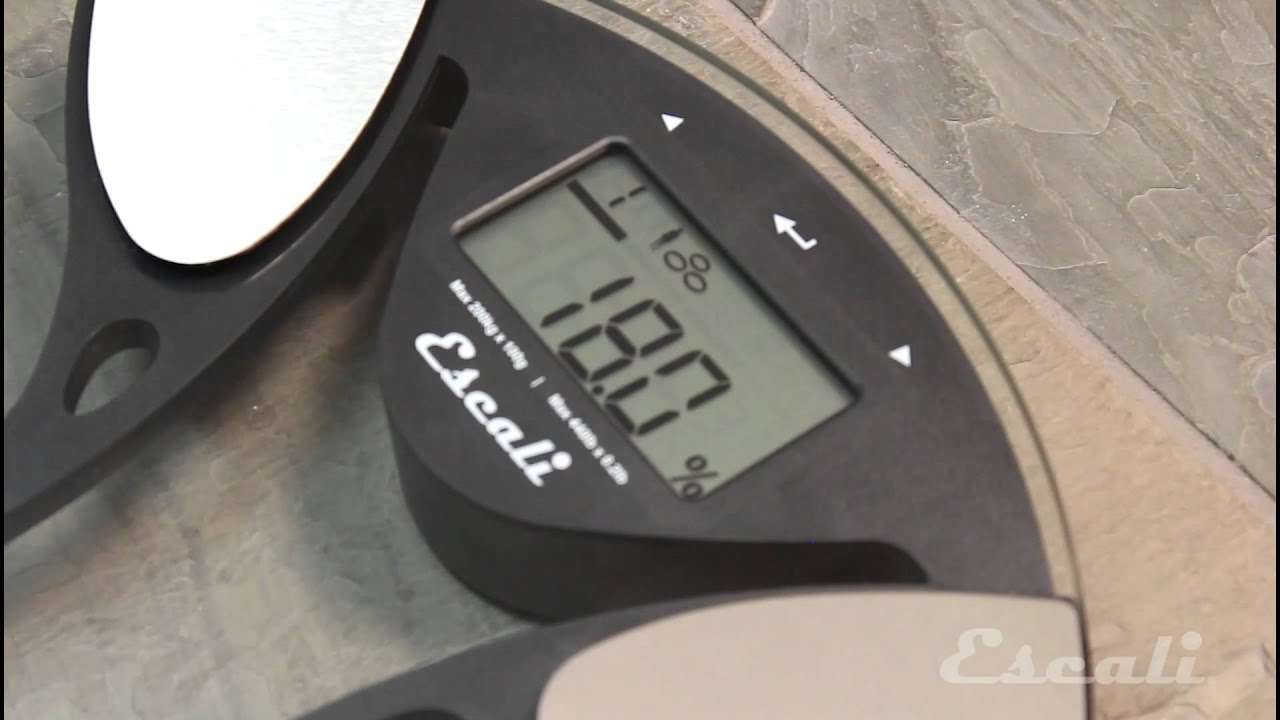 How to Setup & Use - Escali Body Fat / Body Water Analyzer Scale - BFBW200