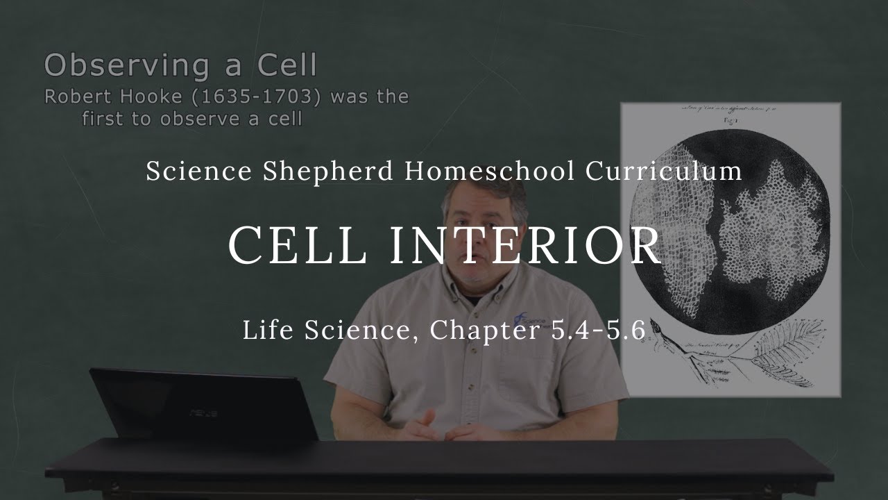 Cell Interior: Cytoplasm, Ribosomes and Nucleus - Homeschool Life Science Curriculum Video Course