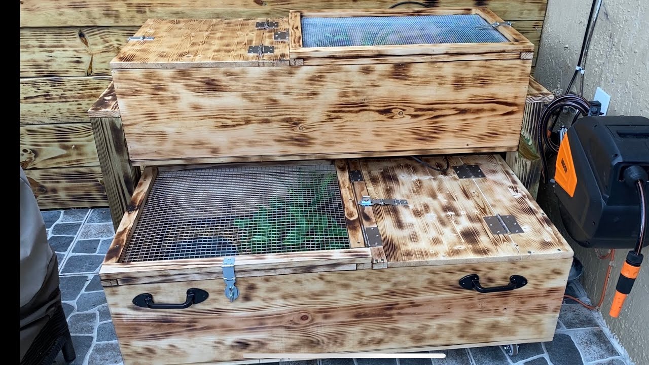 Outdoor tortoise table build