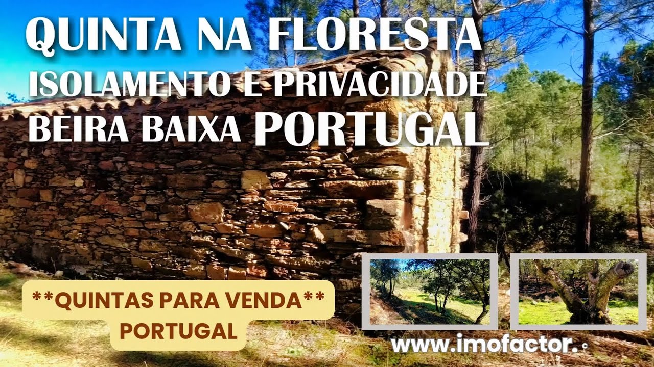 🌄 Quinta na Floresta | Isolamento e Privacidade | Castelo Branco - Portugal | €48000