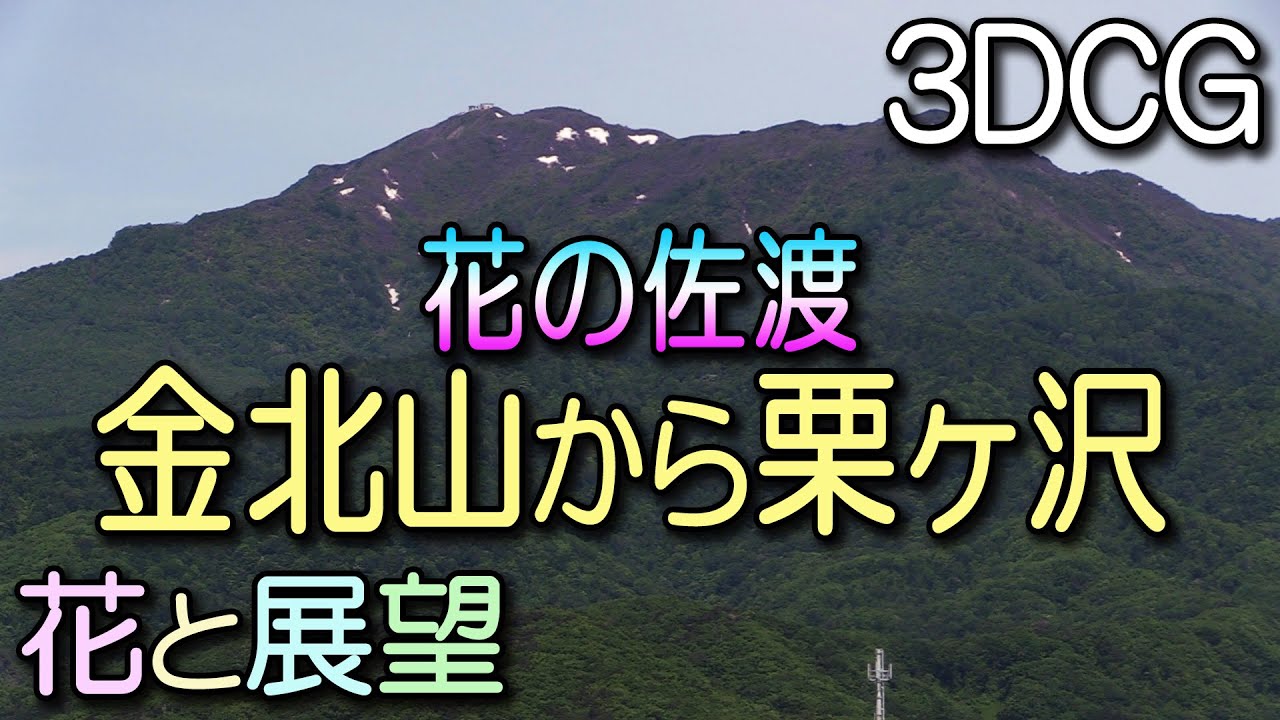 佐渡・金北山から栗ヶ沢下山。花の浮島。花と展望