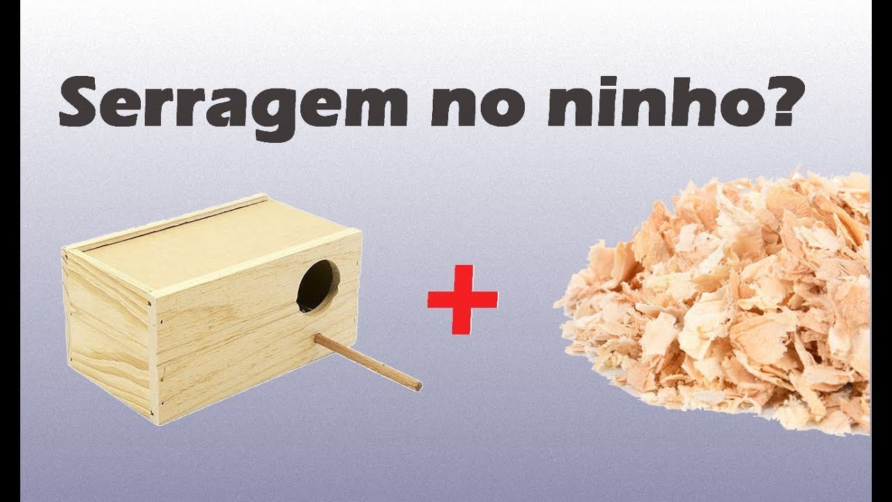Qual a utilidade da serragem (maravalha) no ninho de periquitos??