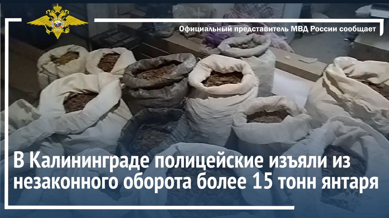 Ирина Волк: В Калининграде полицейские изъяли из незаконного оборота более 15 тонн янтаря