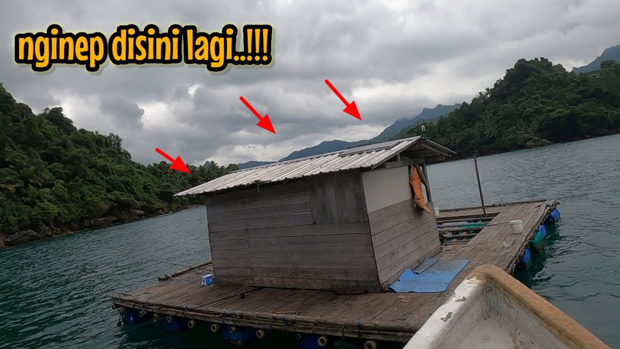 JANGAN COBA-COBA‼️SEKALI KESINI PULANG GAK BISA TIDUR || NAHOL MANIA libur mancing ikan red devil