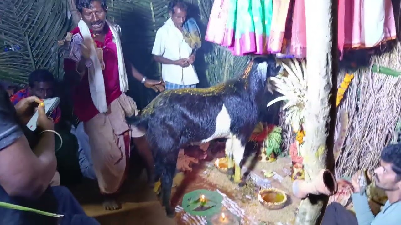 పల్ల శ్రీ రాములు ఎరకయ్యపేట 9515693708   6305844725