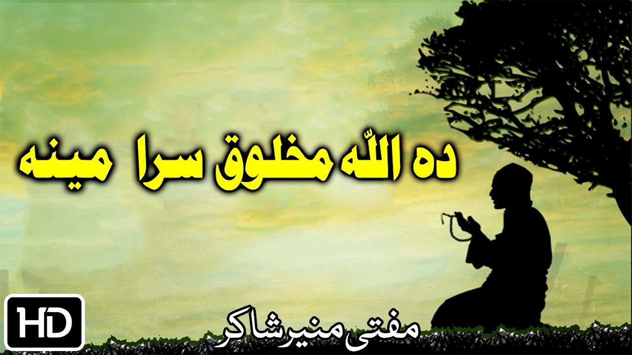 Mufti Munir Shakir Pashto Islamic Bayan | Da Allah Makhloq Sara Mena | دہ اللہ مخلوق سرا مینہ