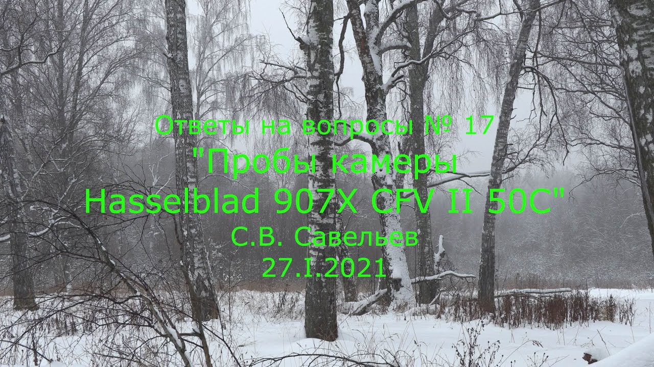 С.В. Савельев - Пробы камеры Hasselblad 907X CFV II 50C