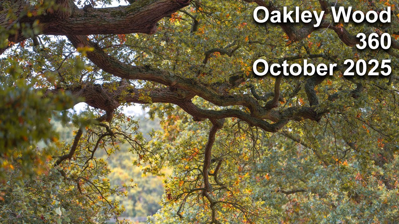 Oakley Wood 360, Friday 10th October 2025