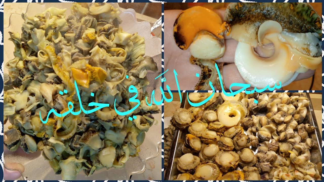 قواقع البحر 🦪بالطحينه الطريقه الاصليه لقواقع البحر 🐚#بصر_للوجز_جندوفلي_طماطم_البحر #سي_فود