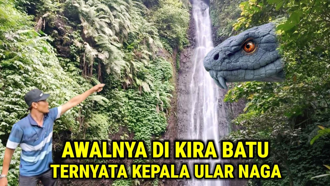 Ngeri !! Awalnya Dikira Batu Setelah Mendekat Ternyata Kepala Ular Naga Bertapa Sampai Membatu