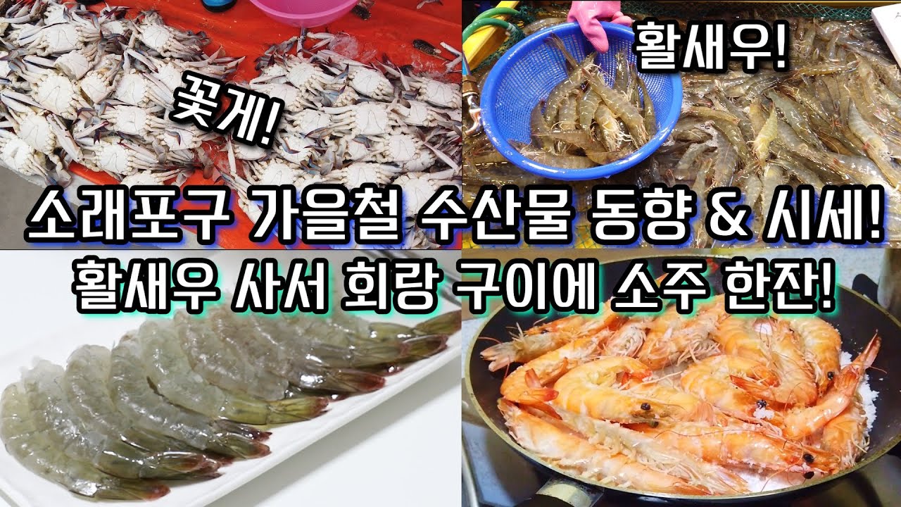 요즘 소래포구의 꽃게와 새우가 저렴합니다! 활새우 사서 회, 소금구이 먹기!!