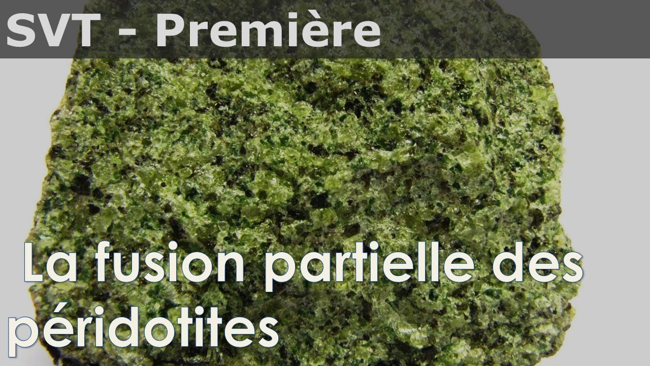 SVT - Première - La fusion partielle des péridotites dans les zones de subduction
