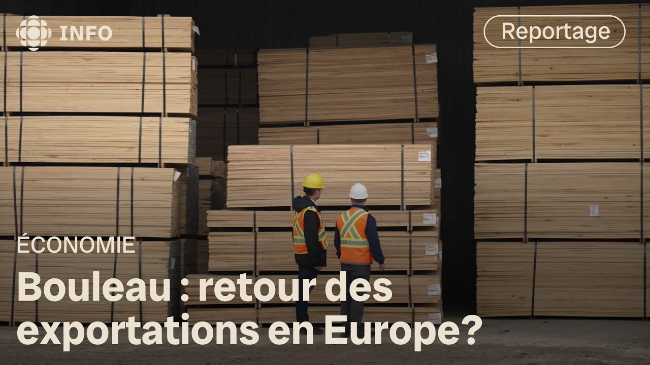 L’agrile du bouleau, un frein à l’exportation de bois canadien | La semaine verte