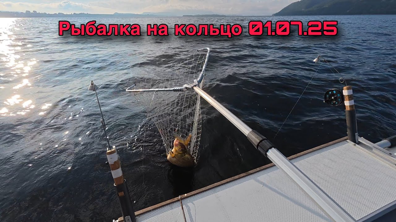 РЫБАЛКА НА КОЛЬЦО В САМАРЕ В РАЙОНЕ ШИРЯЕВО. КРУПНЫЙ ЛЕЩ. 01 ИЮЛЯ 2025 ГОДА